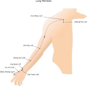 Lung Meridian